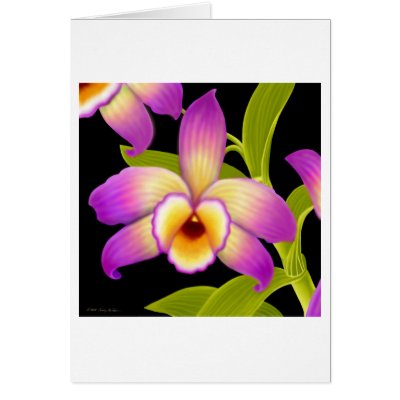 Dendrobium Orchid Flower Cards by twopurringcats