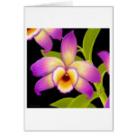 Dendrobium Orchid Flower cards