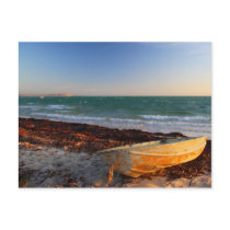 Denham - Western Australia Post Card