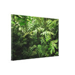 Dense Tropical Rain Forest Gallery Wrapped Canvas