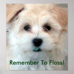 Dental Hygiene Floss Puppy