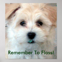 Dental Hygiene Floss Puppy