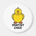 Dentist Chick Magnet