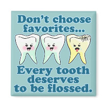Dentist Dental Hygienist Dentistry
