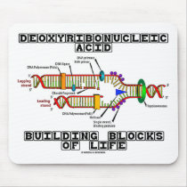 Deoxyribonucleic Acid Building Blocks Of Life