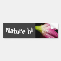 departing weighs bumper stickers