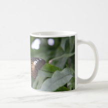 Der Falter Kaffeehaferl