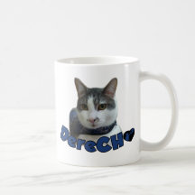 Derecho Products Mug