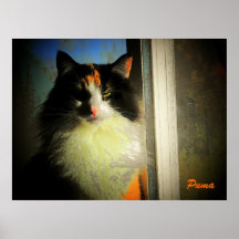 Derniers rayons du soleil affiche