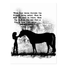 Des chevaux vous êtes aimés cartes postales