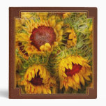 Des fleurs - tournesols - vous êtes mon seulement 