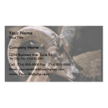 Desert Bighorn Business Cards