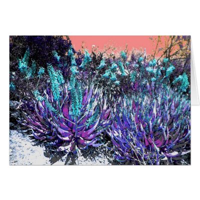 Desert Blooms Card by CORNFLAKEGIRL