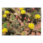 Desert Blooms Greeting Card