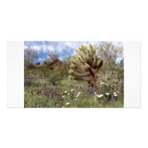 Desert Blooms Photo Cards