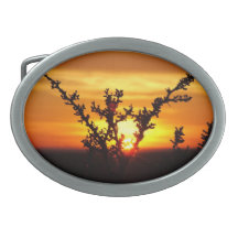 Desert brush sunset belt buckle.