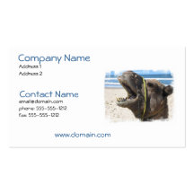 Desert Camel Business Card