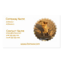 Desert Camel Business Cards