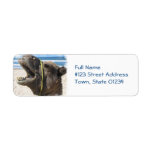 Desert Camel Mailing Label