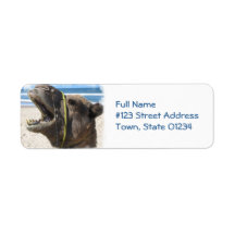 Desert Camel Mailing Label