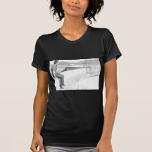 Desert Dam Picture Tees