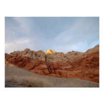 Desert Floor to Ceiling Photo Print