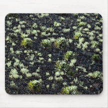 Desert Flora #3 Mousepad