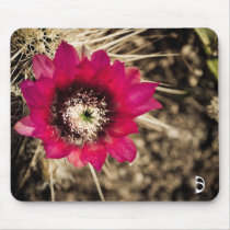 Desert Flower Mouse Pad