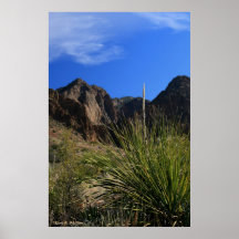 Desert Glory Poster