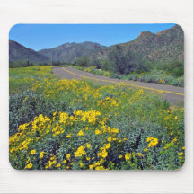 Desert Highway flowers Mousepads