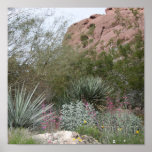 Desert Landscape Print