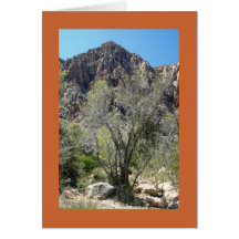 Desert Mountain & tree Cards