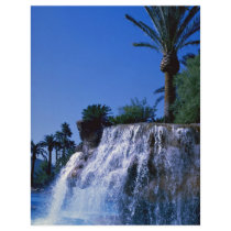 Desert oasis flyers
