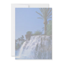 Desert oasis invite