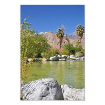 Desert Oasis Photograph