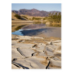 Desert Oasis Post Cards