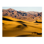 Desert Playground Postcards