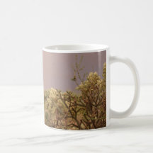 Desert Rainbow Mug