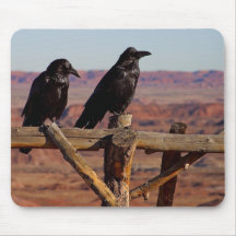 Desert Raven Mouse Pads