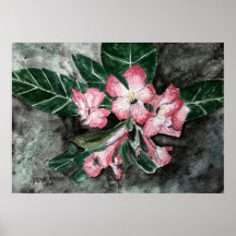 Desert Rose flower painting Posters