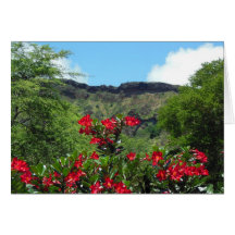 Desert Rose Greeting Cards