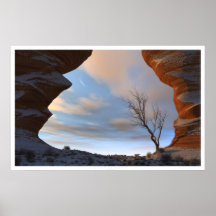 Desert Snow Print