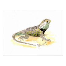 Desert Spiny Lizard Postcard