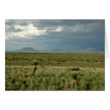 Desert Storm Greeting Card