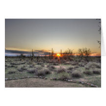 Desert Sunrise Greeting Card