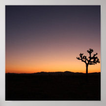 Desert Sunrise Print