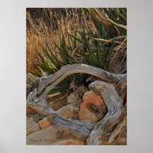 Desert Textures Poster