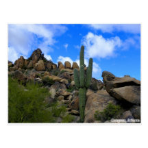 Desert Treasures Post Card