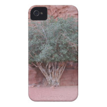 Desert Trees iPhone 4 Cases