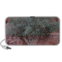 Desert Trees PC Speakers